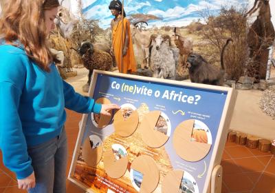 Afrika V 5a 020